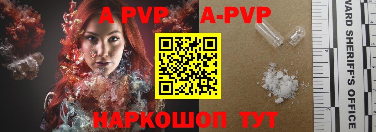 А ПВП СК Сланцы