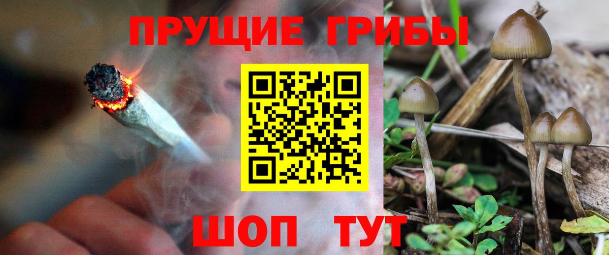 Галлюциногенные грибы MAGIC MUSHROOMS  Галлюциногенные грибы Psilocybine cubensis  Сланцы  Вход с VPN 